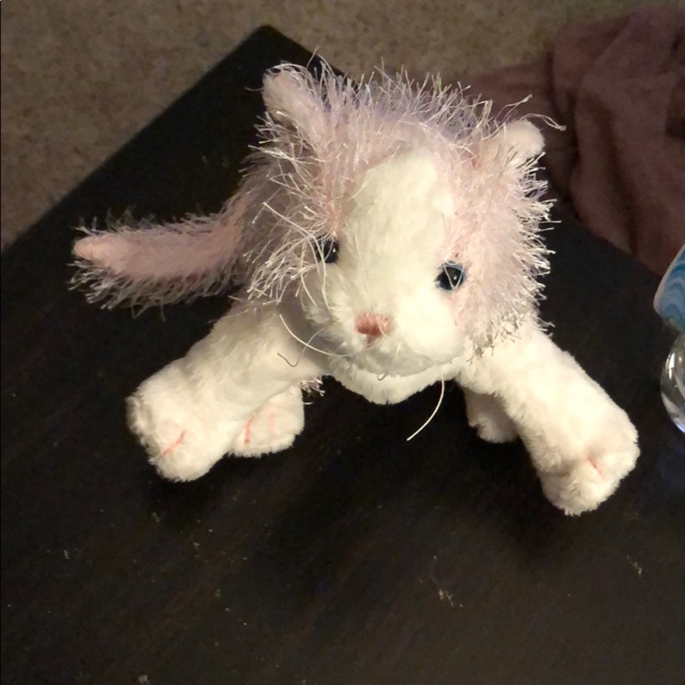 A cat stuffie